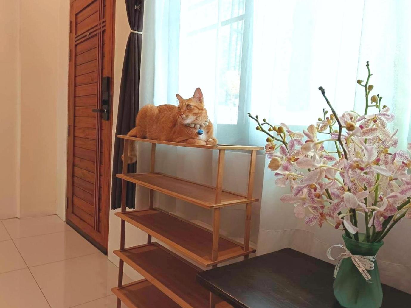 Sasima Bed And Breakfast Chiang Mai Zewnętrze zdjęcie