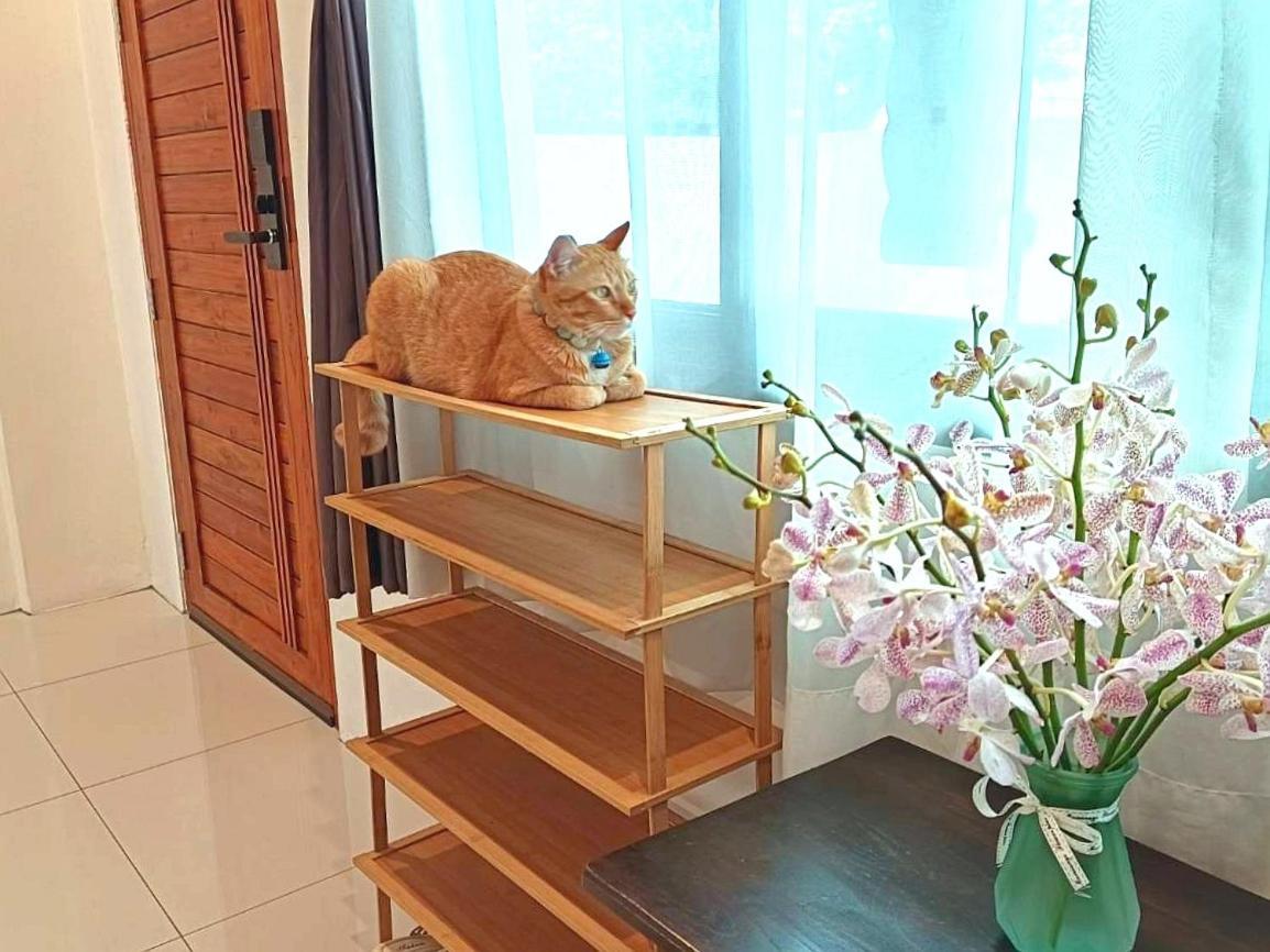 Sasima Bed And Breakfast Chiang Mai Zewnętrze zdjęcie